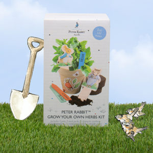 Fizz Creations Peter Rabbit Grow Your Own Herbs Kit Packaging